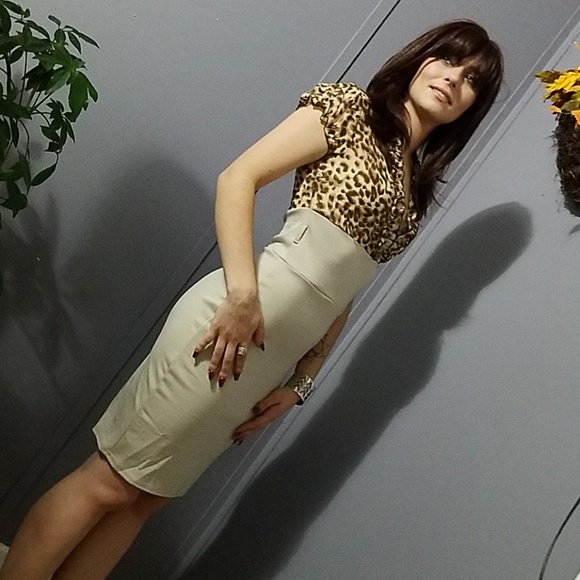 Imported Leopard Pencil Skirt Dress - Picture 3 of 8
